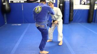 New Breed Technique of the Week - How to counter Guard Pull