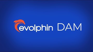 What Can the Evolphin DAM Do For You?