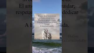 #imágenes de reflexión de amor lo más nuevo para ti suscribanse 😌🤗😊👍