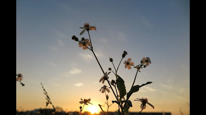 Free Prospect Stock Images with CC0 licenses with no attribution required for Commercial Use