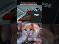 PS5 CAT MEME#spiderman #gaming #jogos #feedshorts #memes #shorts #cat