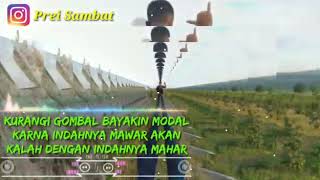 Story wa keren banget cocok buat orang mau nikah