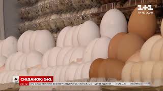 Эксперты прогнозируют подорожание яиц: сколько будут стоить