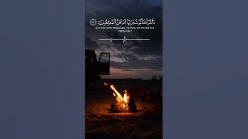😭{ أَفَرَأَيْتُمُ النَّارَ الَّتِي تُورُونَ }[ سورة الواقعة : 71 ]😔