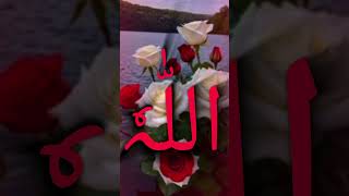 #islam#islamic#1million#allah#shortviral