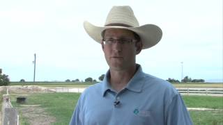 Merck Q&A: What Type of Vaccines and Deworming Does My Foal Need?