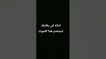 #تلاوة_هادئة #قرآن #راحة_نفسية #قران_كريم #لايك #اكسبلور