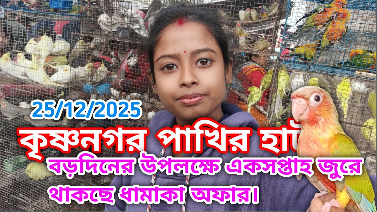 বড়দিন উপলক্ষে এক সপ্তাহ জুড়ে থাকছে ধামাকা অফার ||🥳 Krishnagar pakhir hat || 25/12/2025
