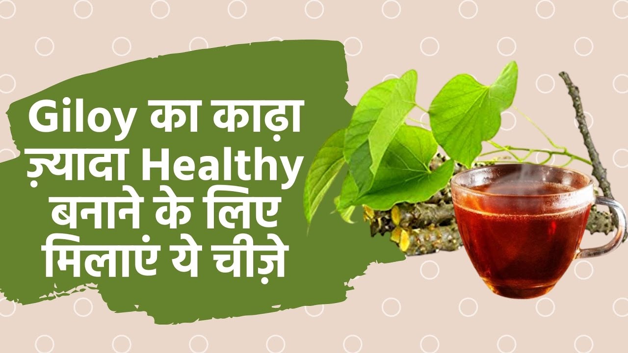 How to make Giloy kadha at home Benefits, kadha recipe, Dosage and How