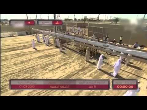 يامعجزه يا نادره يا سطوره اداء حسين الكوري