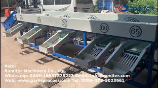 Celebrity Automatic Garlic Size Sorting Grading Machine for Ukraine Customer Wealth