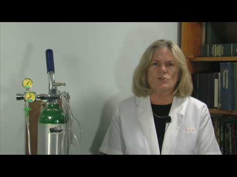 Respiratory Therapy : About Living With COPD