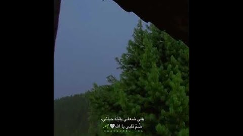 من سورة طه || و ما جزاء الإحسان إلا الإحسان 💚.