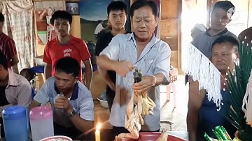 Yog koj hu plig ko taw qaib tsis zoo koj yuav ua li cas? los peb saib ua kev.