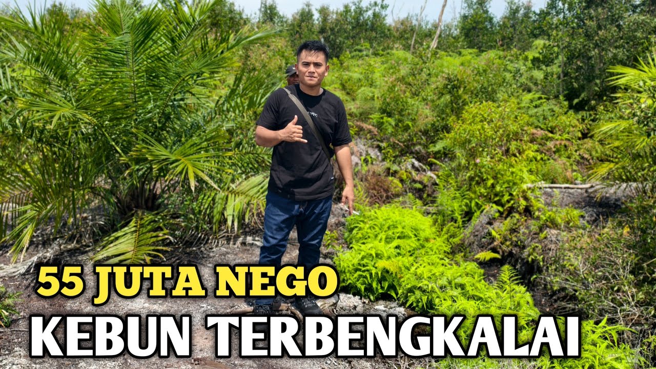 JUAL CEPAT ASAL COCOK LEPAS‼️