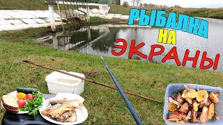 видео: Ловлю и ЖАРЮ РЫБУ на рыбалке! ЭКРАНЫ снова меня не подвели! картинка: Ловлю и ЖАРЮ РЫБУ на рыбалке! ЭКРАНЫ снова меня не подвели!