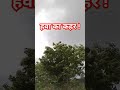 #shorts #shortsfeed #rain #rainsounds #viralvideo #trending