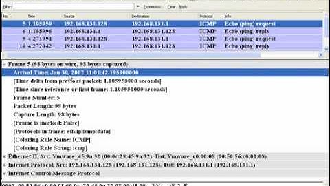 Wireshark Basics (1)