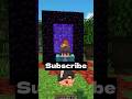 Minecraft Blocks having Some Moment 🥰