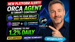Orca ai agent Strong sleeper platform paying up 1.2% daily Ai Prediction market arbitrage Don't miss