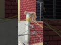 पड़ोस के बाथरू में पार्ट-2||🐒|| #trending #yts #funny #viral #bandar #money #memes #viral