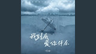 我到底爱你什么 (Dj阿尼版)