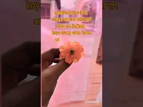 LIRIK LAGU EDAN TURUN FIDA AP X JAMES AP