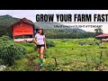 The Potential of Having a Poultry Farm in the Philippines