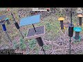 2025-10-10 - Flocking Around - Casper, WY - Live Stream Bird Feeder Cam