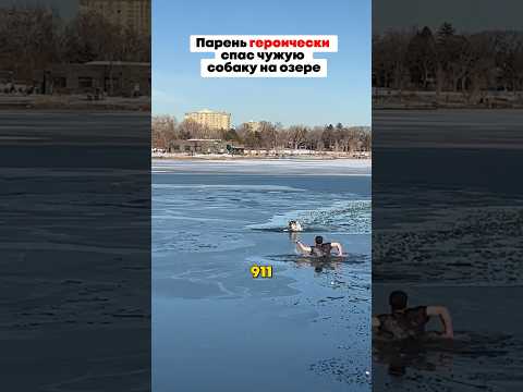 СПАС СОБАКУ ИЗ ЛЕДЯНОЙ ВОДЫ;ПАРЕНЬ ГЕРОЙ😳 #историиизжизни #награни #хаски