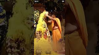 Banke Bihari Laal | Radha Krishna Bhajan #shorts