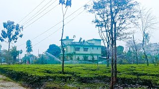 Beautiful Nature Of My Village Haldibari, Nepal