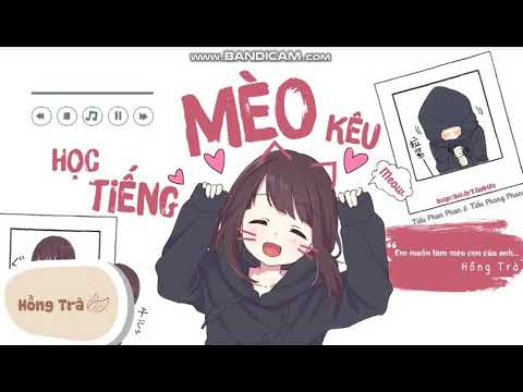 HỌC TIẾNG MÈO KÊU ( lời việt ) 学猫叫 TikTok | Xuân Tài x Phương Thanh - youtube
