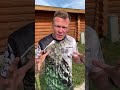 Интервалы на развитие силы - скорости в крутую гору. #бег #трейл #дневникмарафонца #ультрамарафон