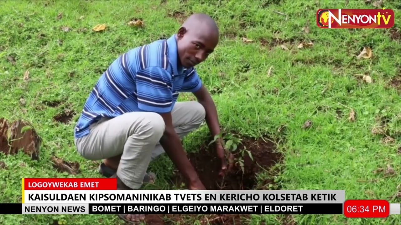 TVET STUDENTS LAUNCH TREE-PLANTING DRIVE ALONG KERICHO-KAPKATET HIGHWAY