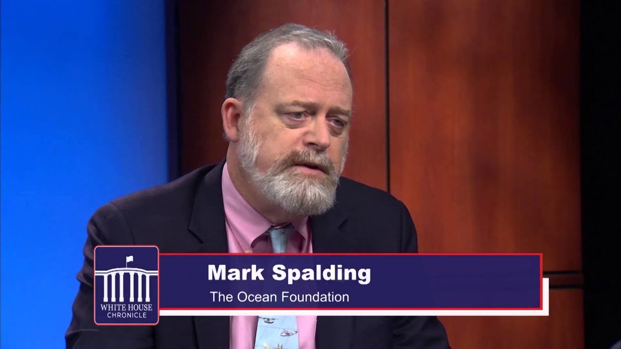 energy akü The Invisible Scourge of the Oceans - White House Chronicle