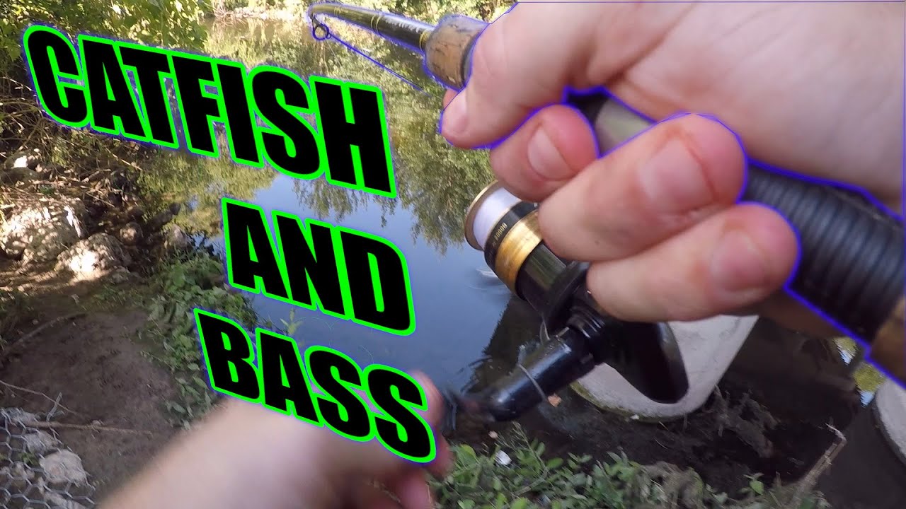 Homemade Catfish Bait KoolAid and Hotdogs YouTube