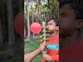 Innovative Bamboo Tube Setup Inside Natural Wood | Handmade DIY