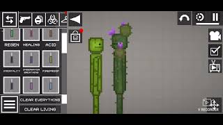 Melon Vs Cactus
