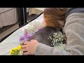 ダックスフンドにん太とのお別れ~最期の看取りと立会火葬