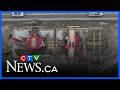 Water use eases in Calgary | CTV News Calgary Noon Update for March 17, 2026