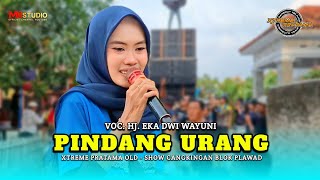 PINDANG URANG VOC. HJ. EKA DWI WAYUNI | XTREME PRATAMA OLD - SHOW CANGKINGAN BLOK PLAWAD