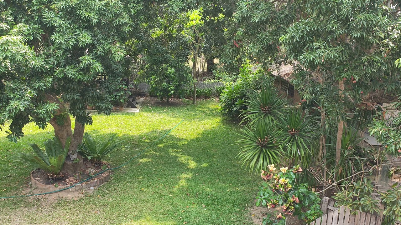 Guide for the Journey Home, Chapter Three - P'Taah - by Jani King