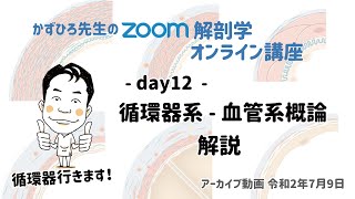 zoom解剖学 day12 循環器系 - 血管系概論 (朝)