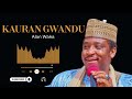 Alan Waka Kauran Gwandu 