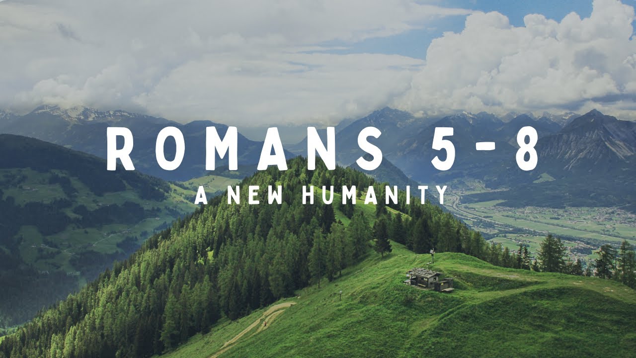 The Book Of Romans 5 8 NIV Audio Bible The Gospel Creates A New the-book-of-romans-5-8-niv-audio-bible-the-gospel-creates-a-new