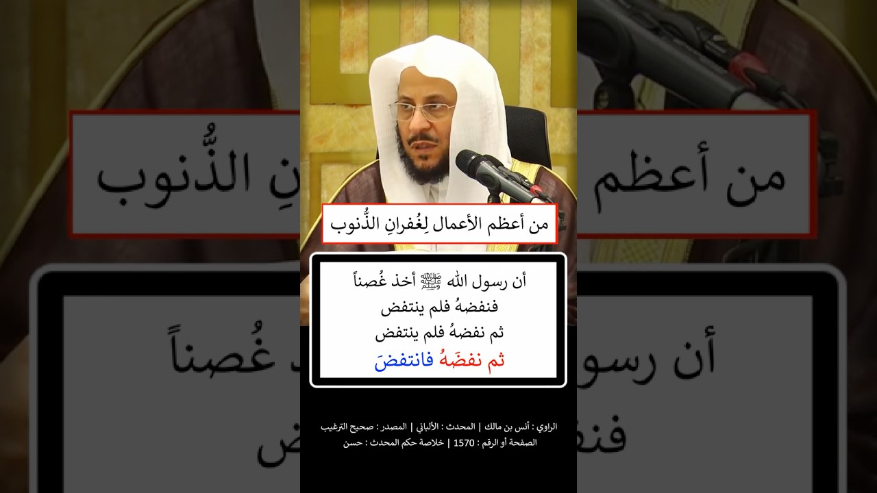 كلِمات تَنفُضُ الخطايا كما تَنفُضُ الشَّجرةُ ورَقَها.