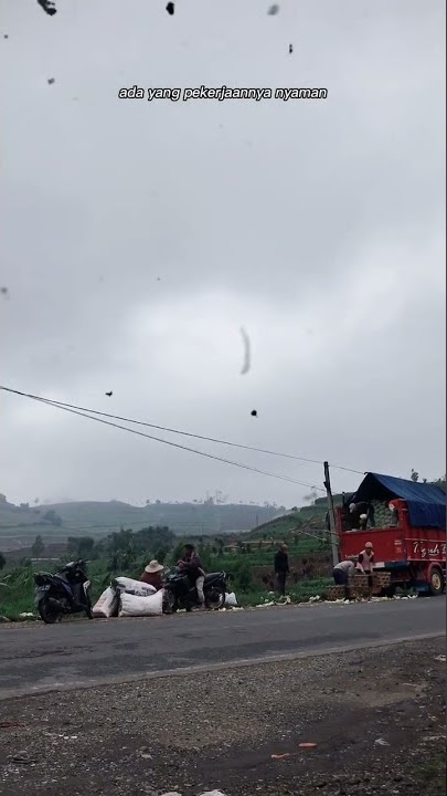 proses muat sayur kol di dataran tinggi dieng