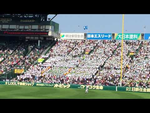 乙訓 Show Time → ヒット