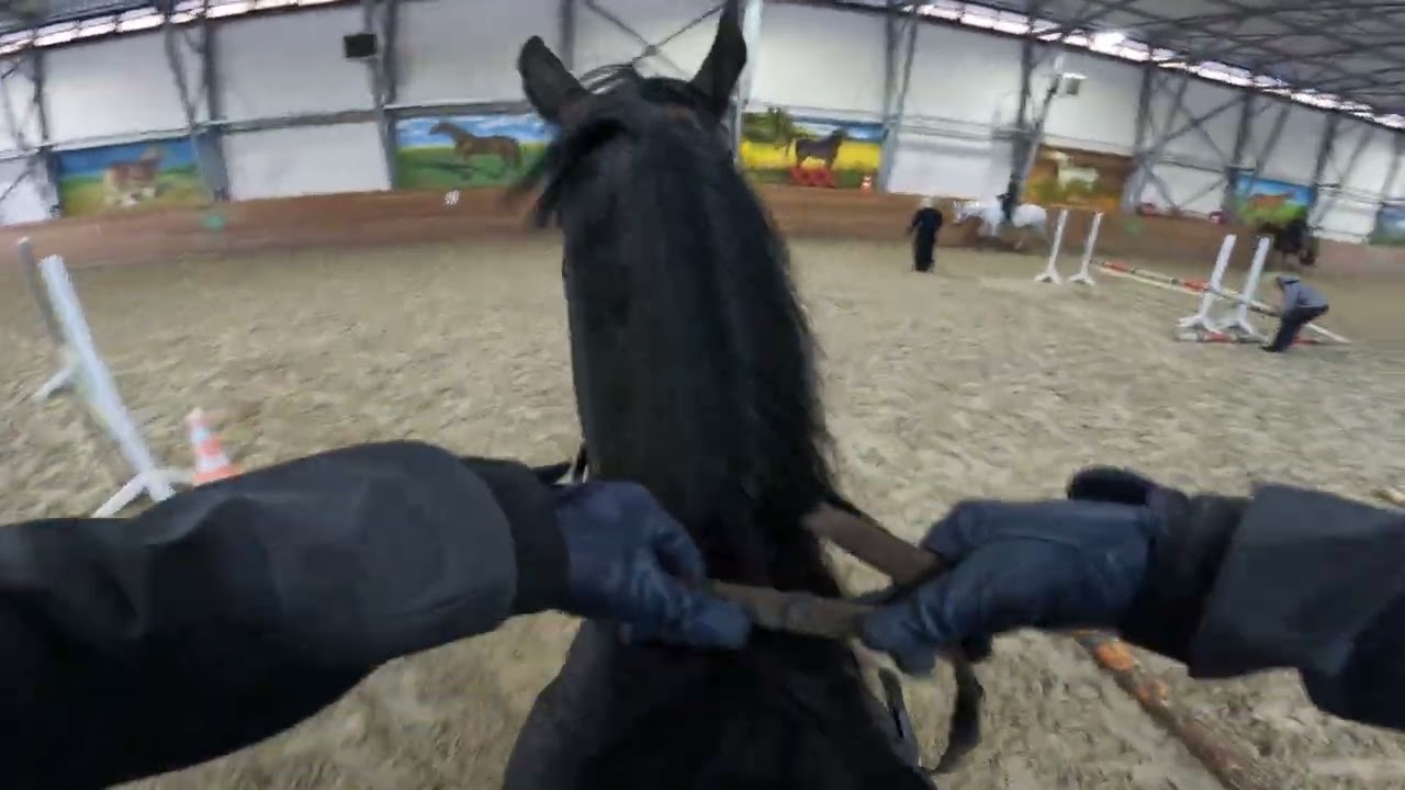 Попробовал поснимать на гоу про. 